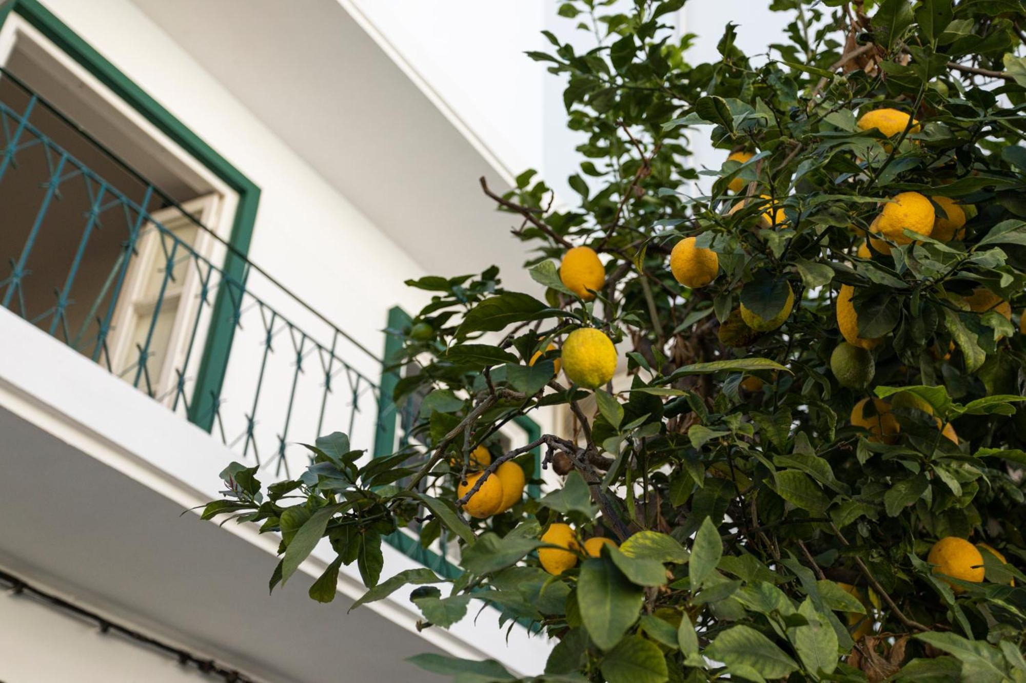 Lemon Hostel FAO Exterior foto